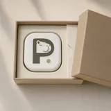 In the box
